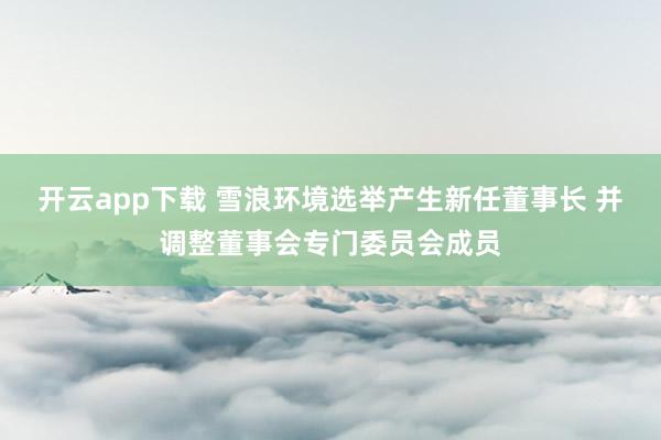开云app下载 雪浪环境选举产生新任董事长 并调整董事会专门委员会成员
