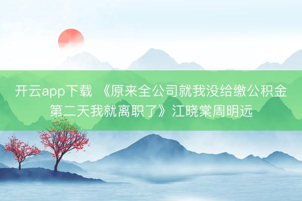 开云app下载 《原来全公司就我没给缴公积金第二天我就离职了》江晓棠周明远