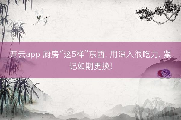 开云app 厨房“这5样”东西， 用深入很吃力， 紧记如期更换!