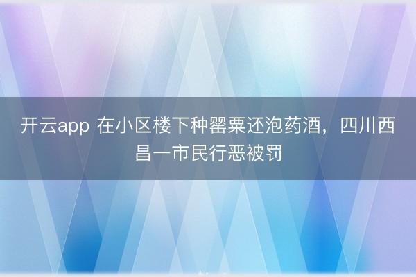 开云app 在小区楼下种罂粟还泡药酒，四川西昌一市民行恶被罚