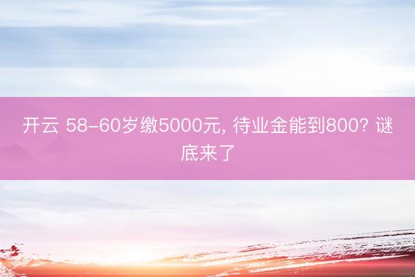开云 58-60岁缴5000元， 待业金能到800? 谜底来了