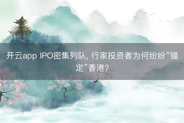 开云app IPO密集列队， 行家投资者为何纷纷“锚定”香港?